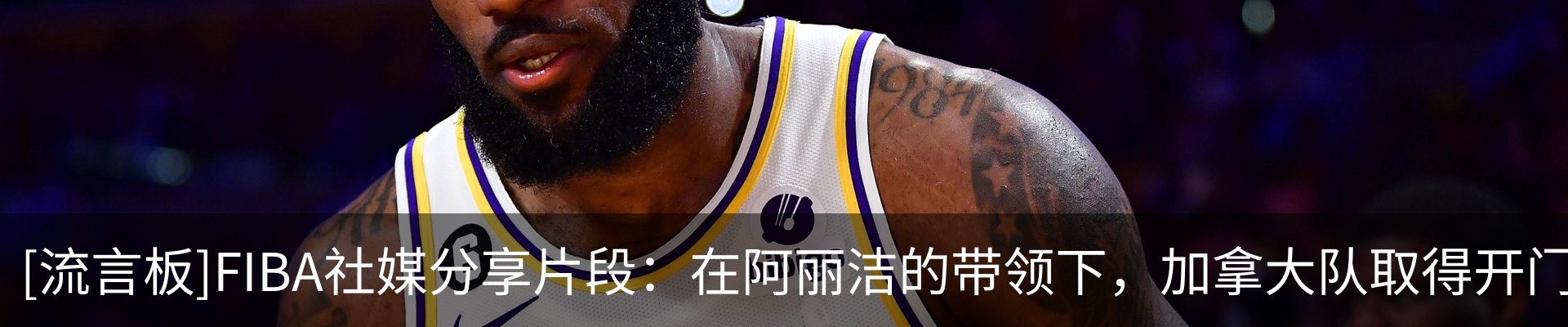 行业资讯